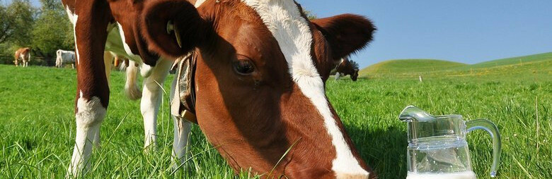  ��������� ������������ ��������� ������ 