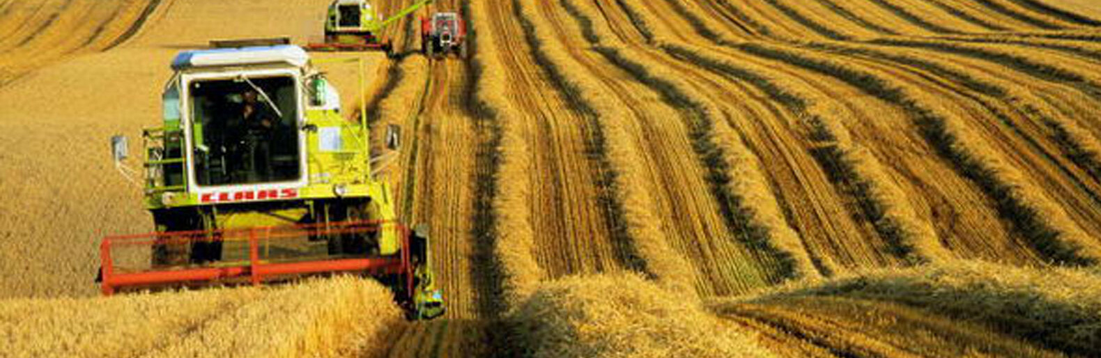  ���������� ������ ������ ������������ �������� ����� ������� ������ 