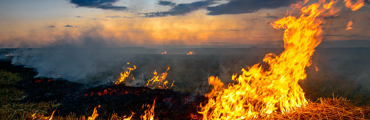  ���� ���� �������� ���� ������� ��������� ������ ��� 