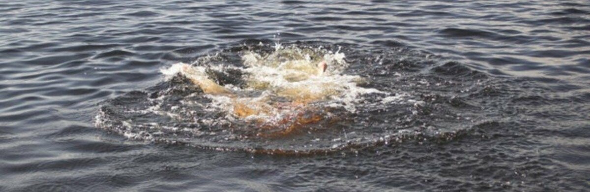  ������ ���� ���� ���� ���� ������� ����� 