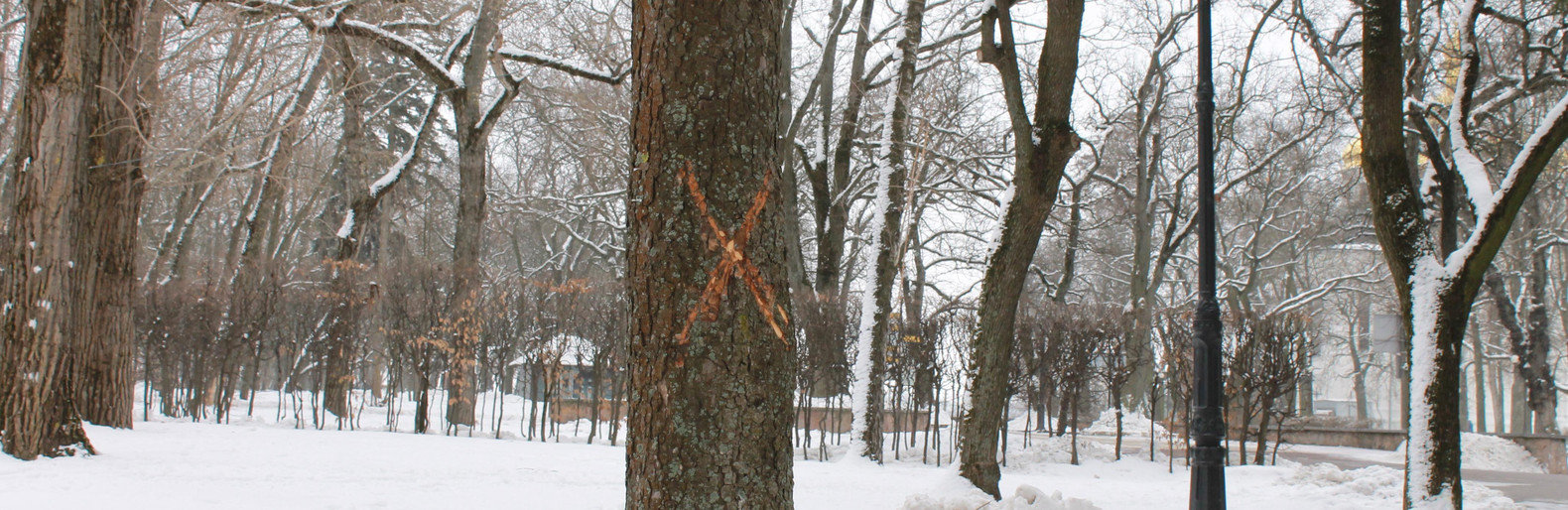  ����� ��������� ���� ��������� ��������� �������� 