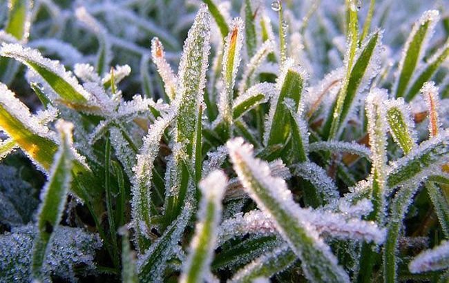  ���� ���� ������ ������������ ��������� ������� �������� 