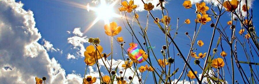  ����� ����� ���� ���� ��� ��������� ��� 