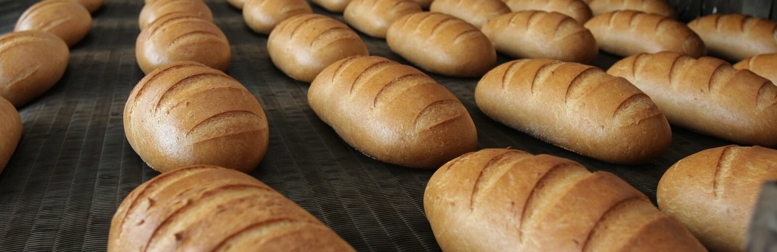  ������ ���� ��� ���� ����������� ������ ���� ���������� 