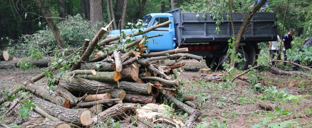  ���� ����� ����� ������� ������ ���� ��� ��� 