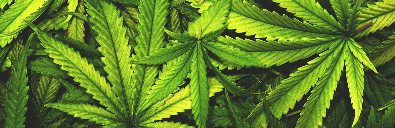  �������� ������� ������� ���� ���� ������ ��������� ������� 