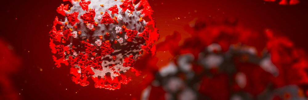  ������� ���� ������ ������� ��� 