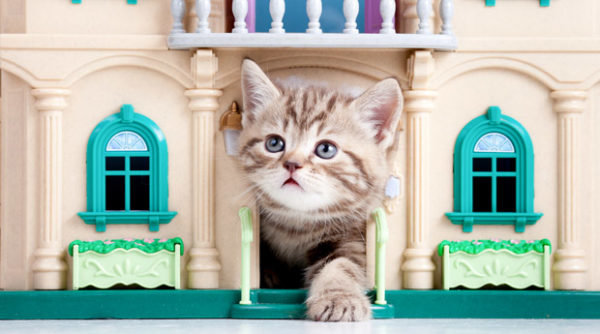  ��� ��� ���� ���� �������� ������ ����� 