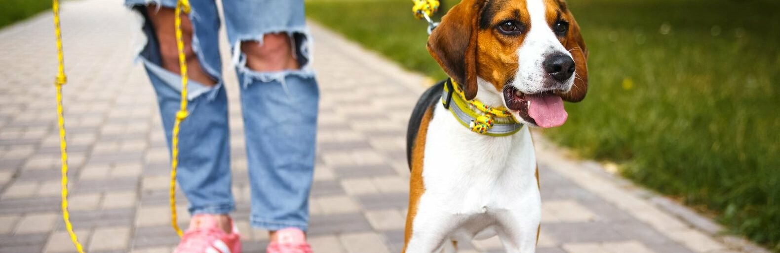  ���� ��� ���� ���� ��������� ������ ����� ���� 