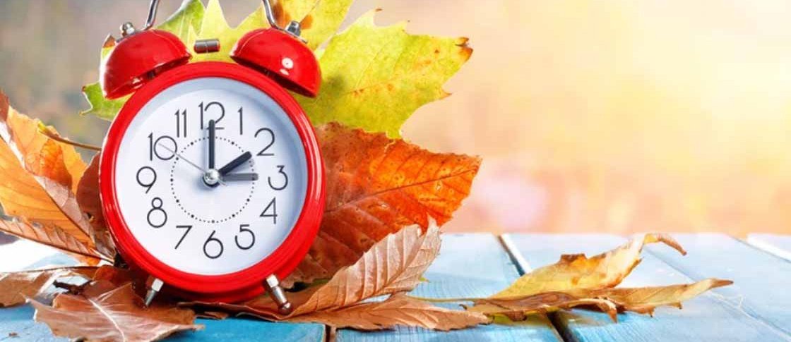  ���� �������� ������� ��� 