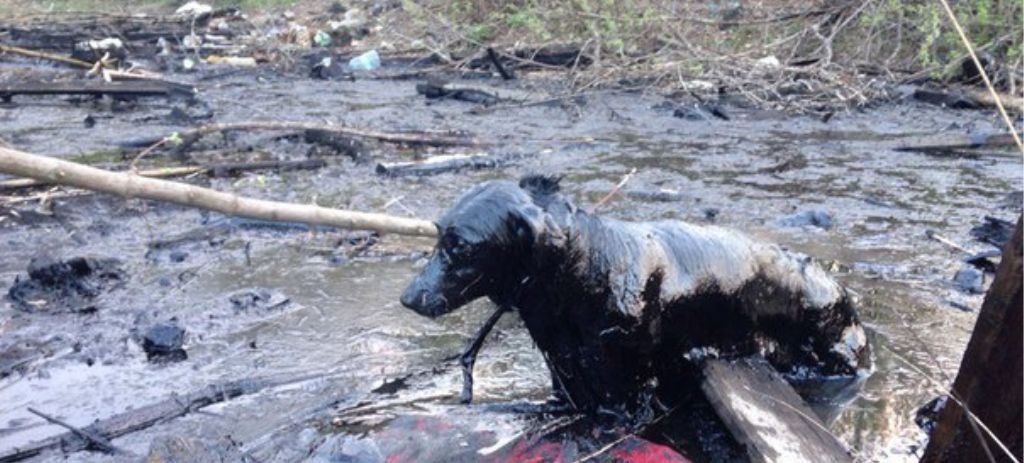  ���������� ������� ����� ���� ��� ������� ������ ���������� 