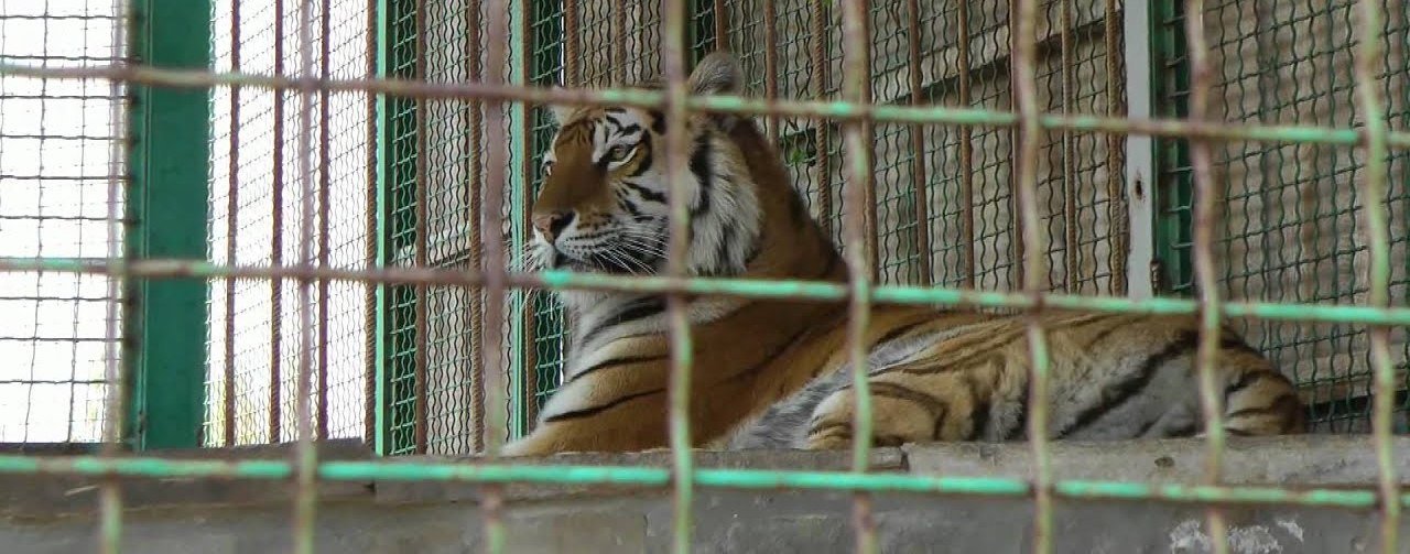  �������� ���� ���� ������ ���� ������ ��������� 