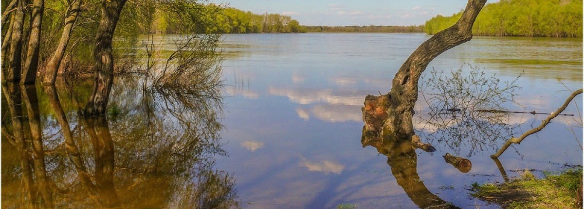  ����� ��������� ���� ��� ��� ���� ���� ���� 