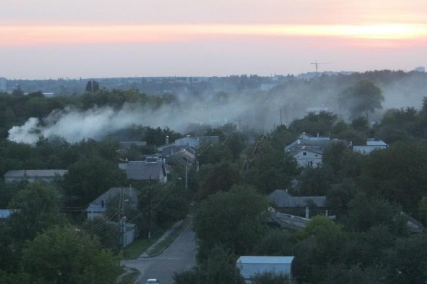 Опавшая листва: сжигать нельзя, использовать! (фото) - фото 2 Опавшая листва: сжигать нельзя, использовать! (фото) - фото 2