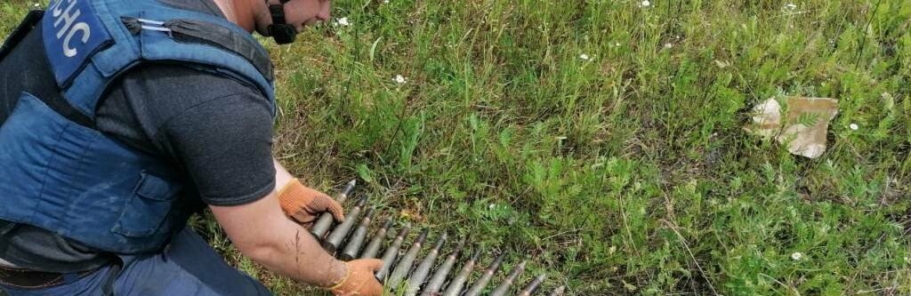 Замінована Чернігівщина: за добу піротехніки вилучили майже 300 боєприпасів