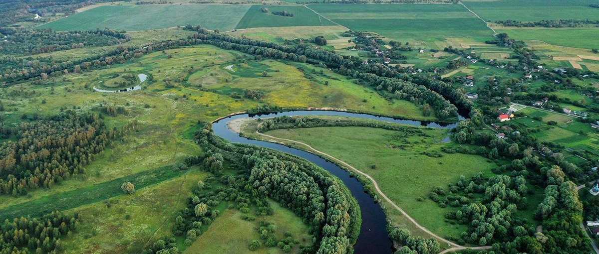 Цьогоріч на Чернігівщині зʼявилися три нових заповідних обʼєкти