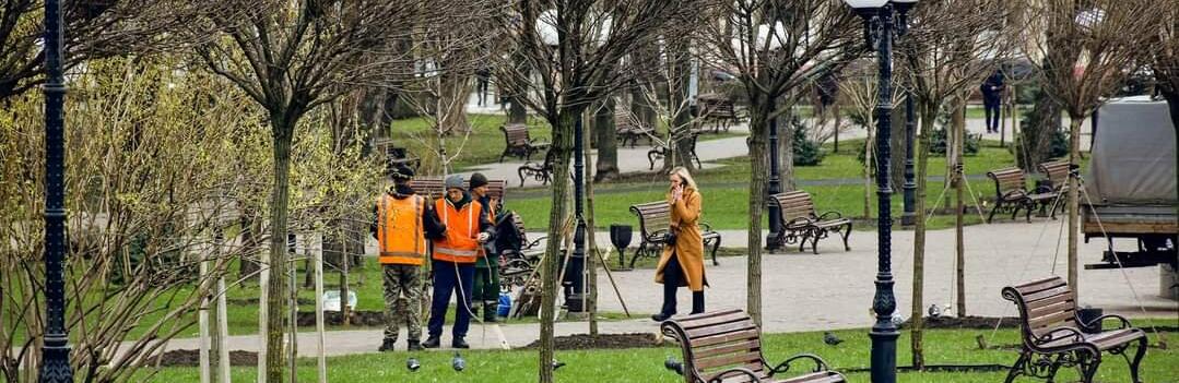 Висаджено 300 дерев, і це ще не кінець – як планують озеленити місто
