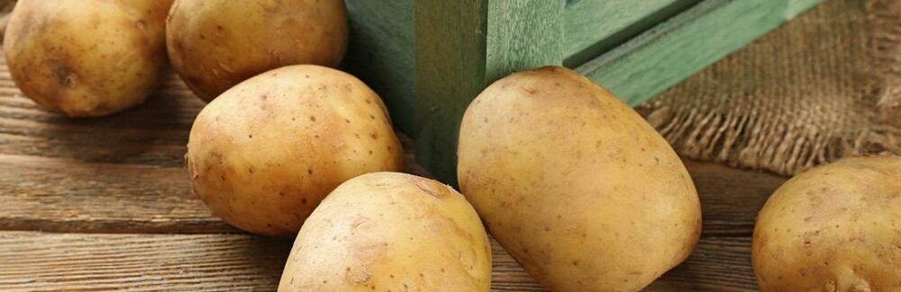 Як зберегти запаси картоплі – поради фахівця