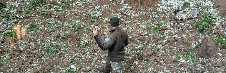 Прикордонники знищили 