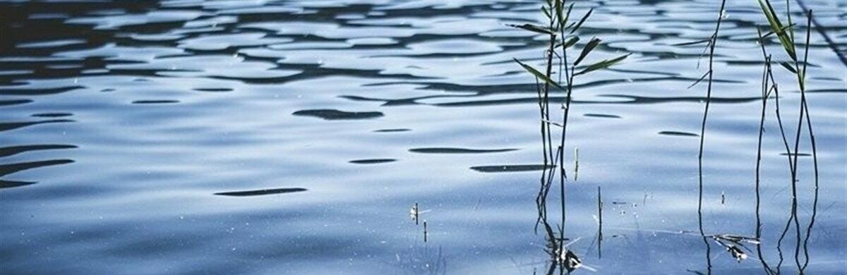 У Чернігівському районі водолази підняли з води тіло чоловіка