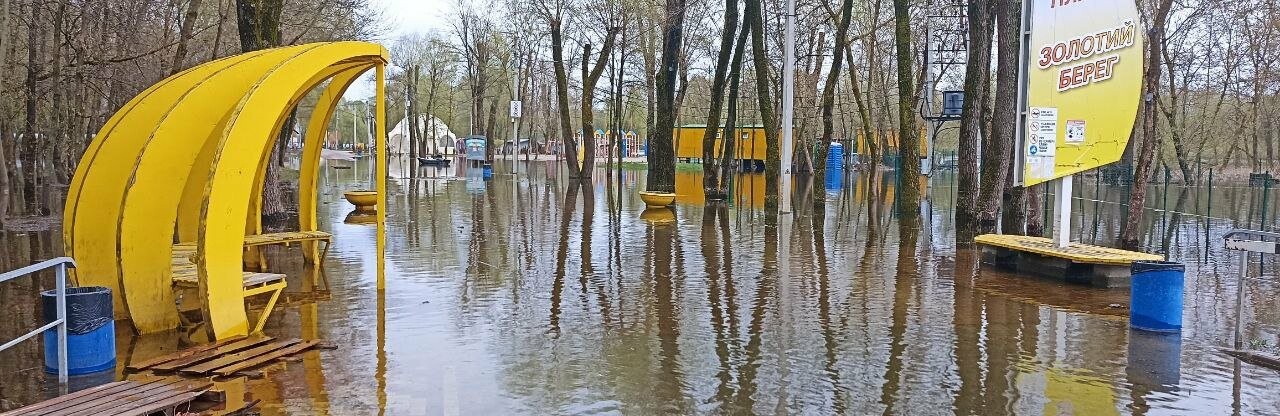 Весняне водопілля на Десні: чи затопить велика вода будинки у Чернігові