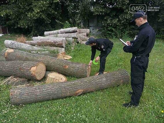 На Черниговщине поймали браконьеров-рецидивистов, вырубивши..., фото-5 На Черниговщине поймали браконьеров-рецидивистов, вырубивших дуба на четверть миллиона, фото-5