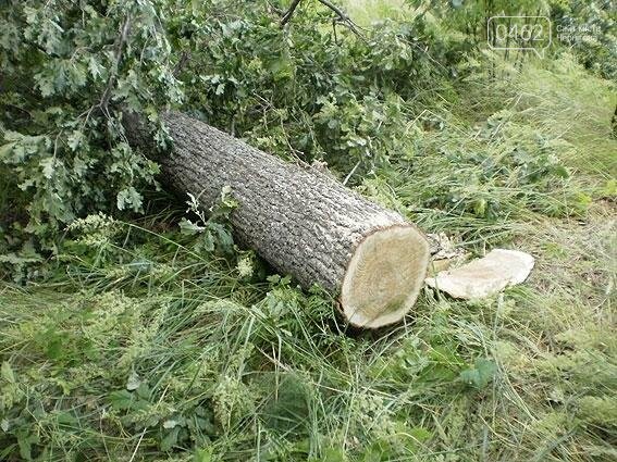 На Черниговщине, чтобы поймать лесных браконьеров, устраива..., фото-5 На Черниговщине, чтобы поймать лесных браконьеров, устраивали засаду, фото-5