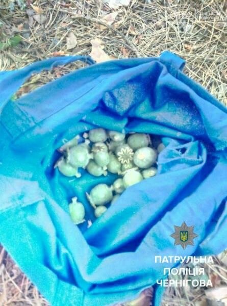 В Чернигове патрульные задержали подозрительного мужчину с..., фото-2 В Чернигове патрульные задержали подозрительного мужчину с полным пакетом мака, фото-2
