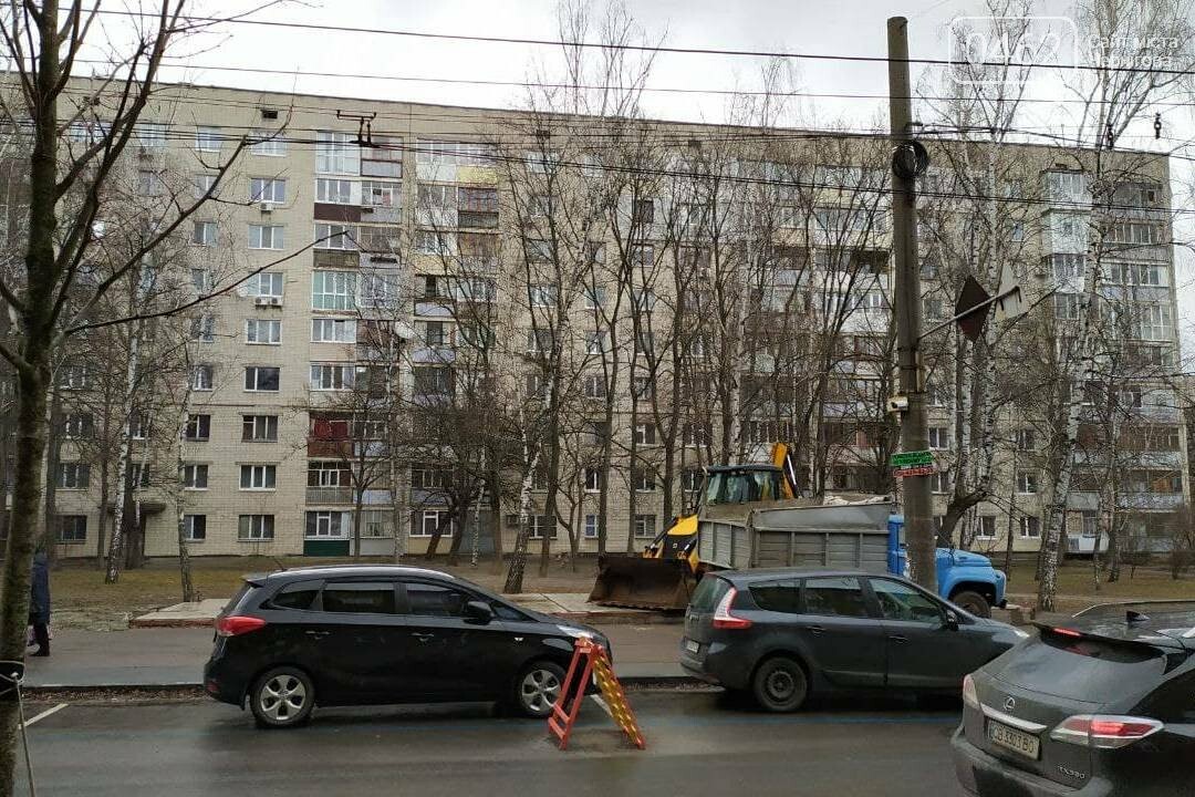 Два нові сквери облаштують у Чернігові, фото-3