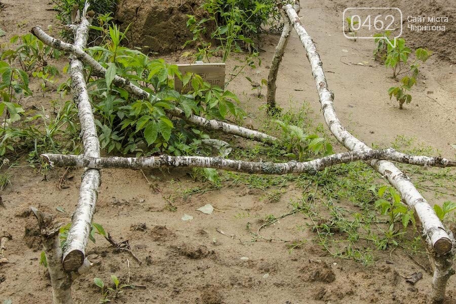 Частина могил у сумному стані, їх слід доглянути