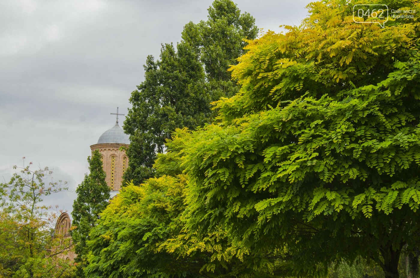 Фото Сергія Тонканова