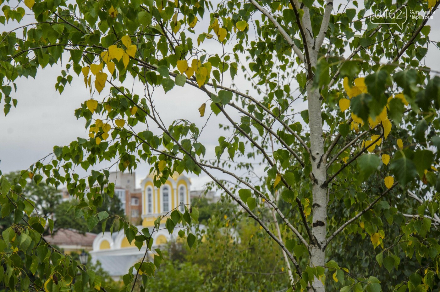 Фото Сергія Тонканова