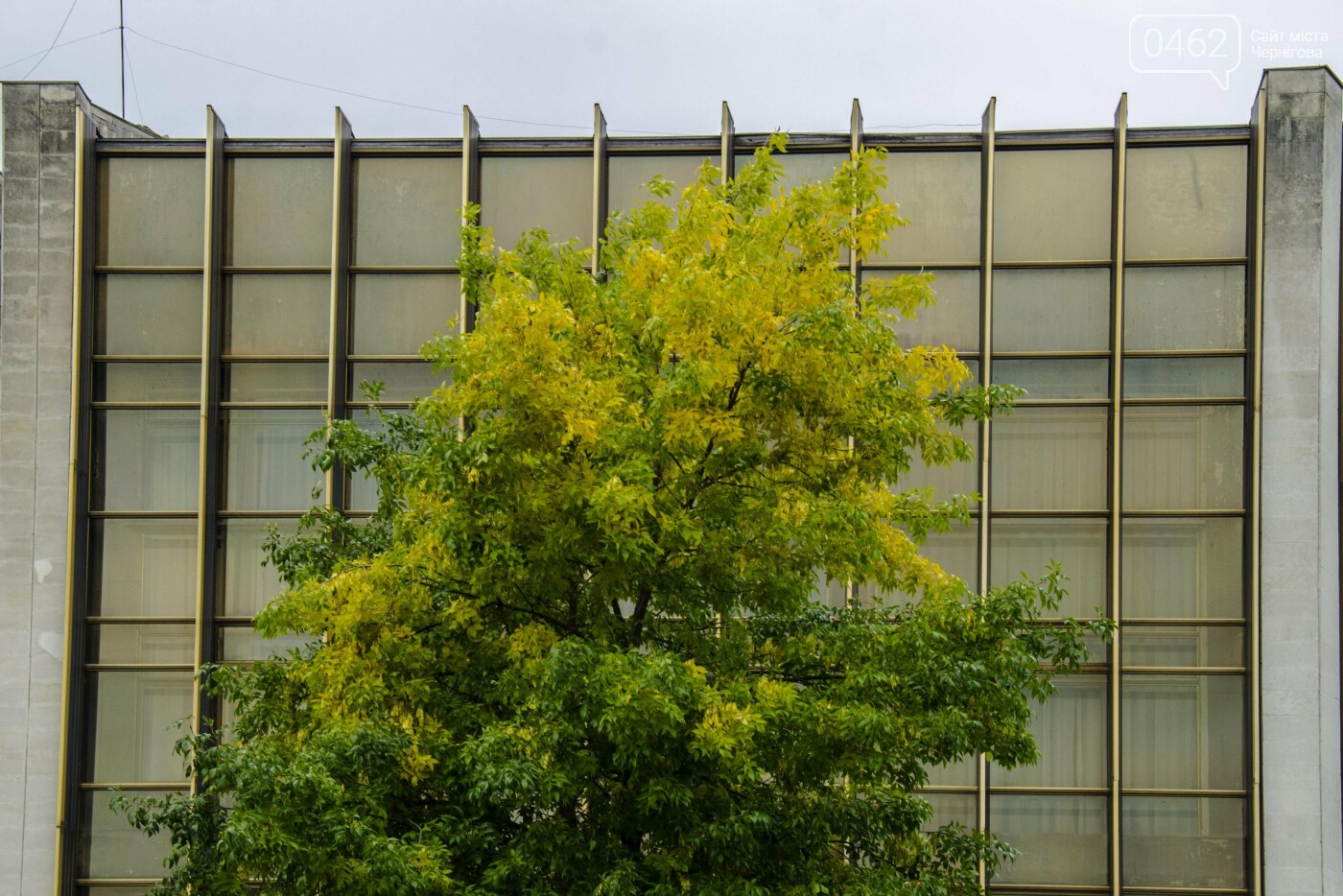 Фото Сергія Тонканова