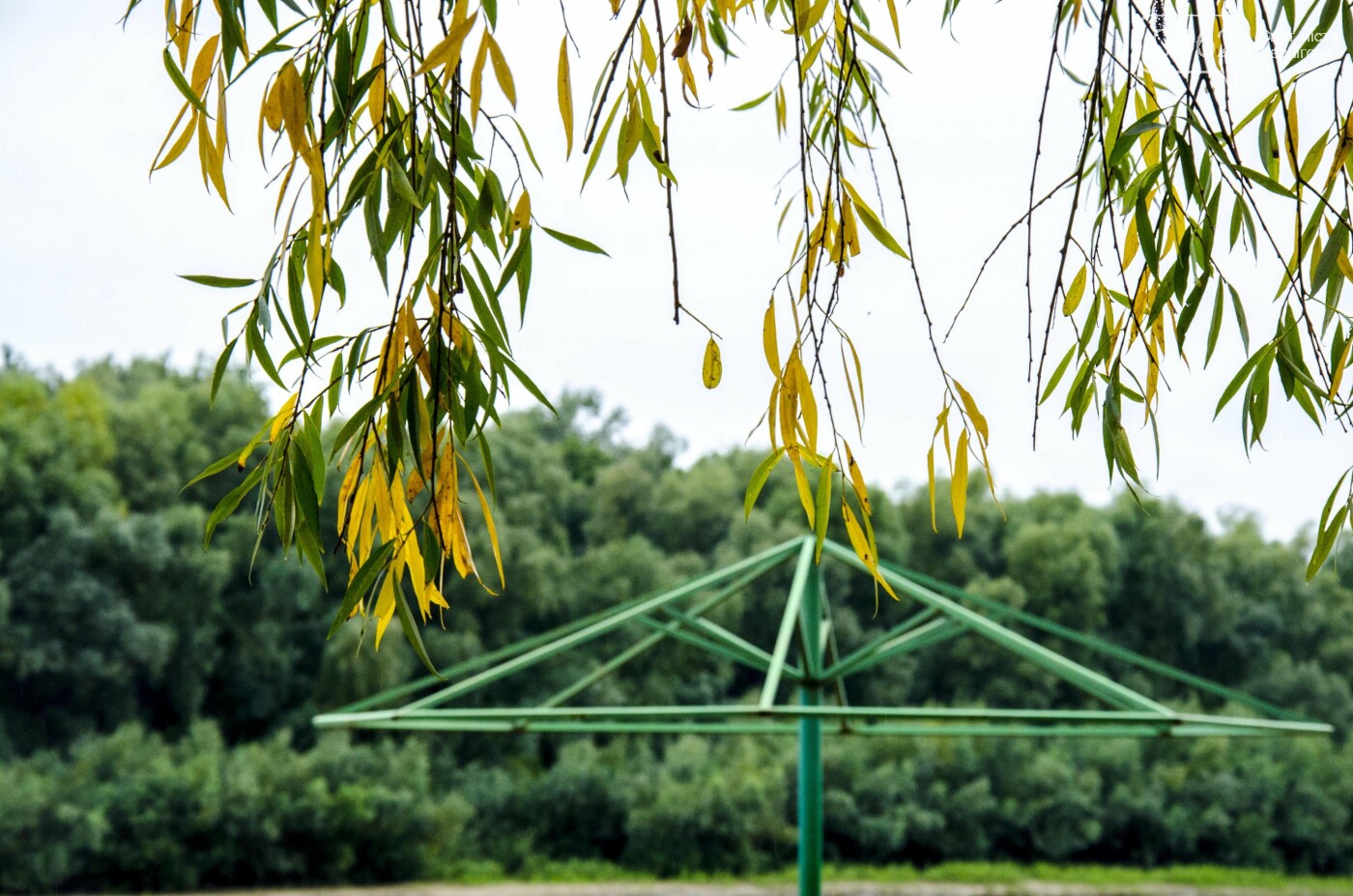 Фото Сергія Тонканова