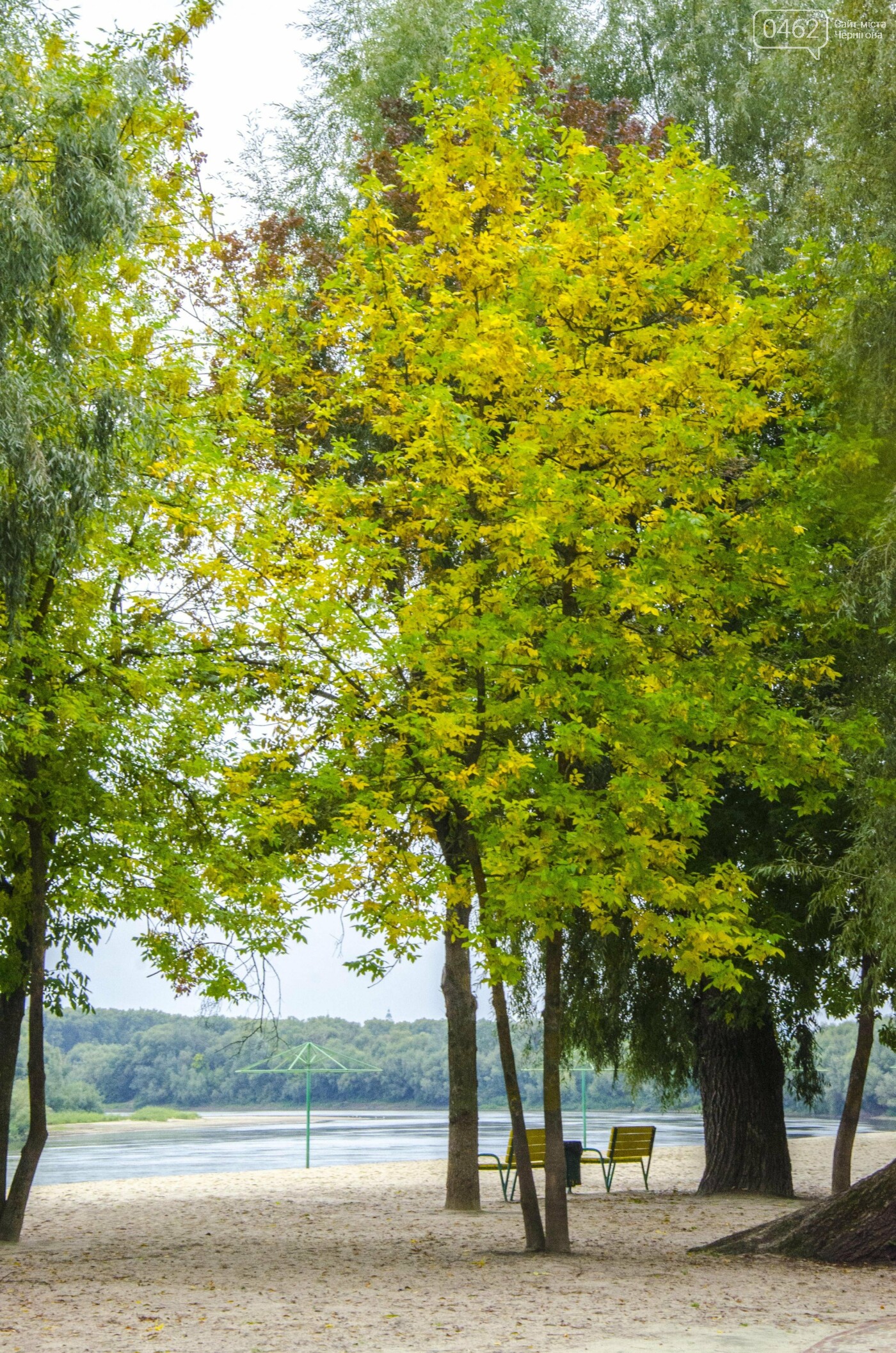 Фото Сергія Тонканова