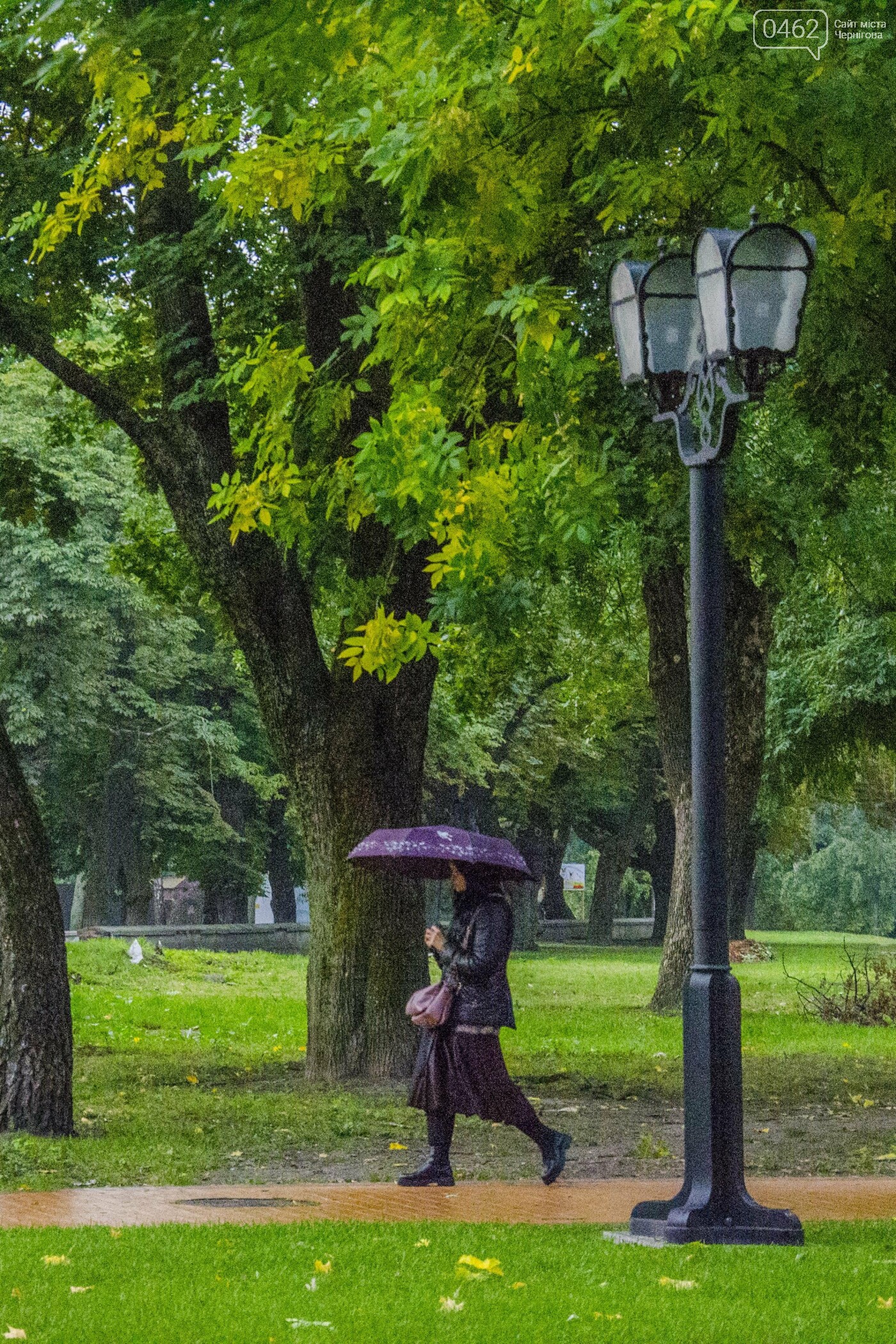 Фото Сергія Тонканова