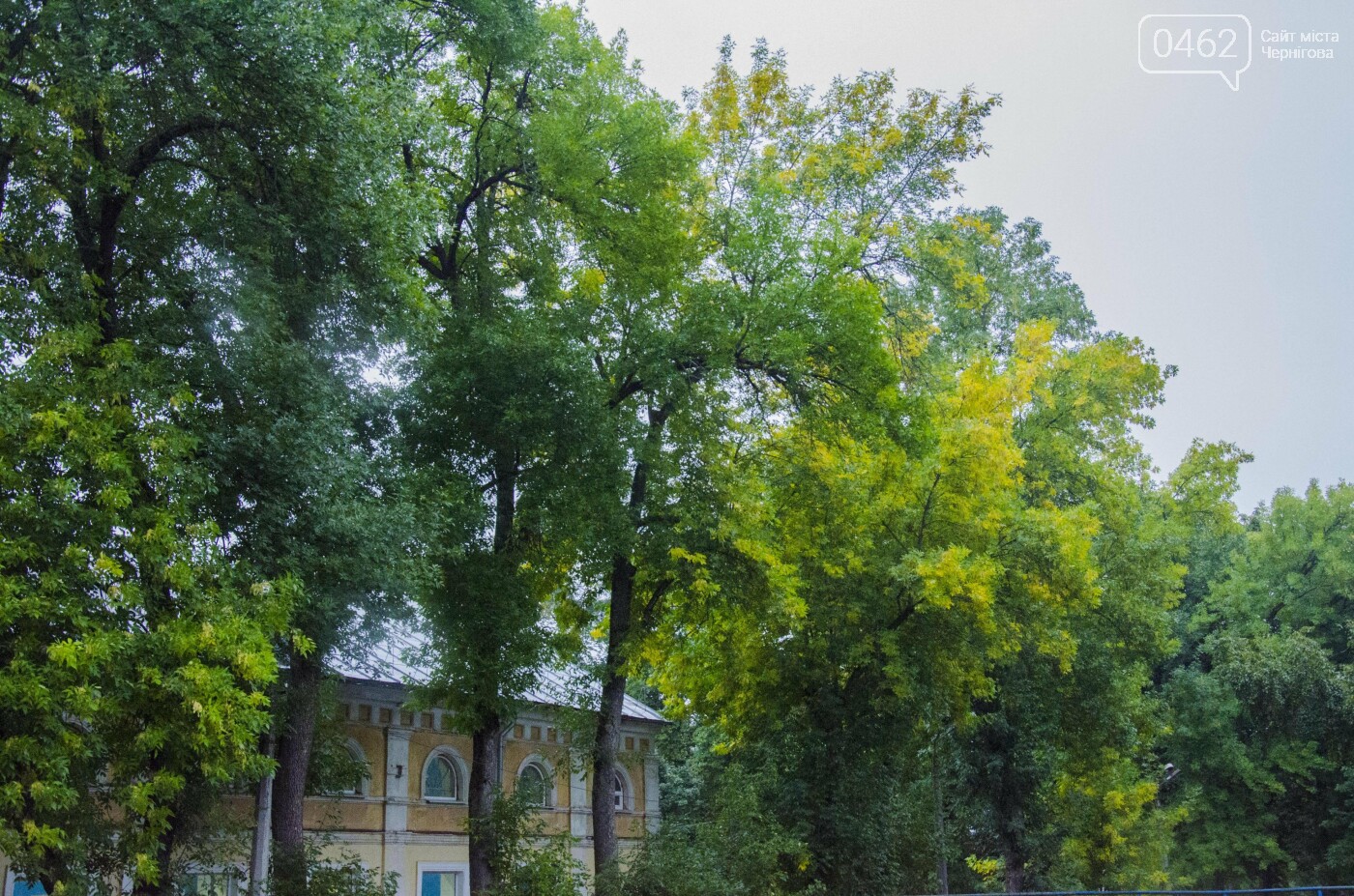 Фото Сергія Тонканова