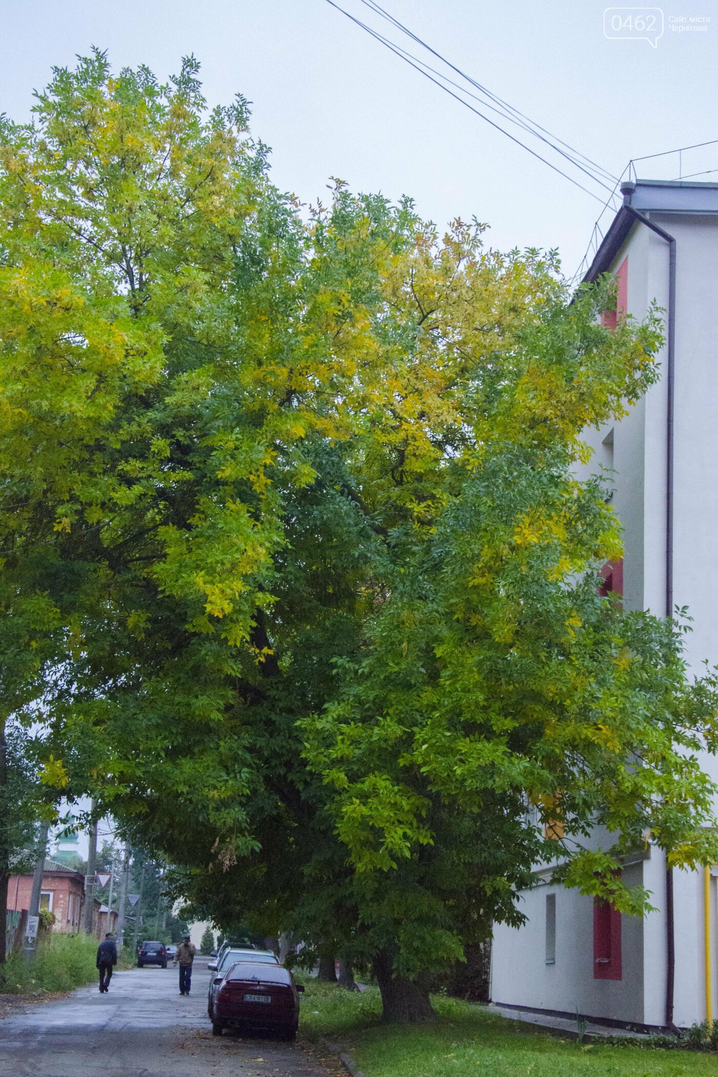 Фото Сергія Тонканова