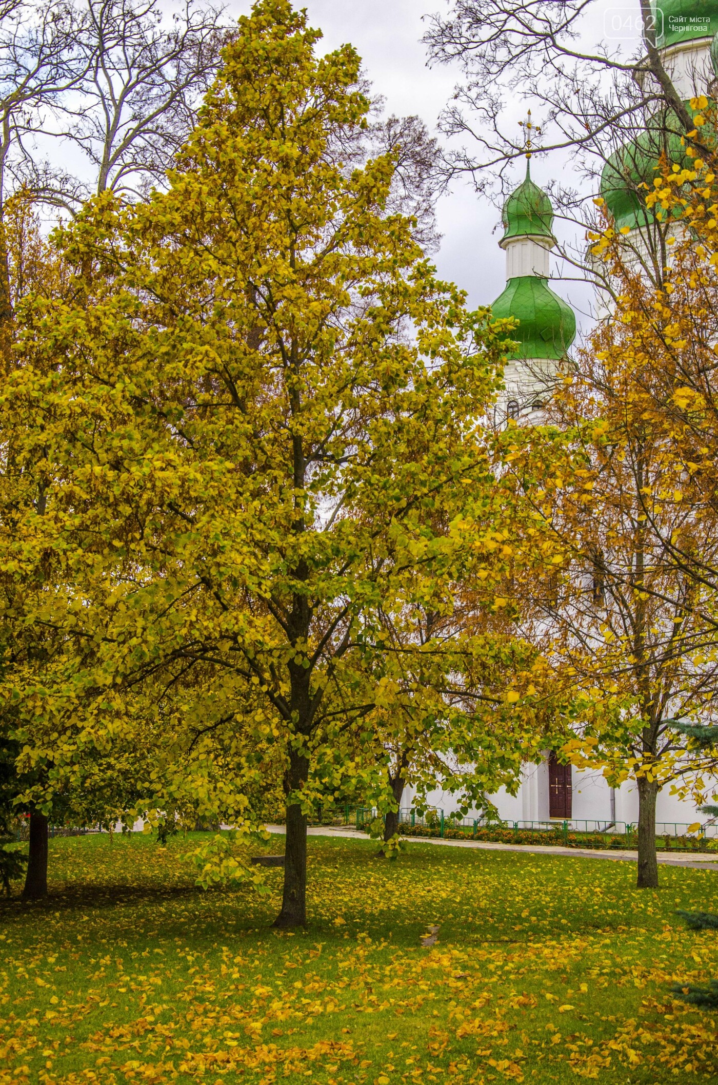 Фото Сергія Тонканова