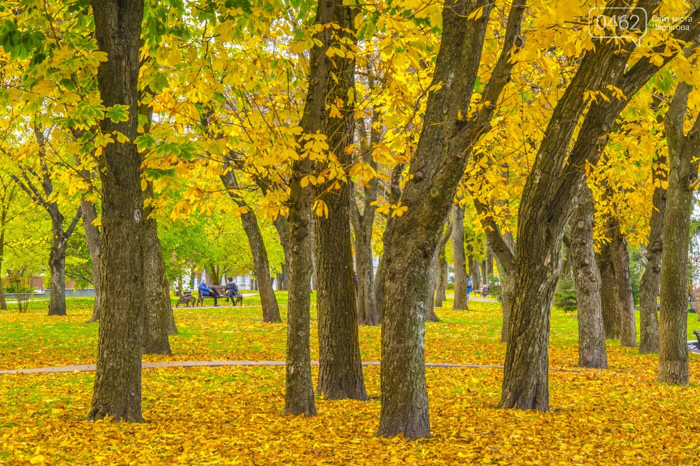 Фото Сергія Тонканова