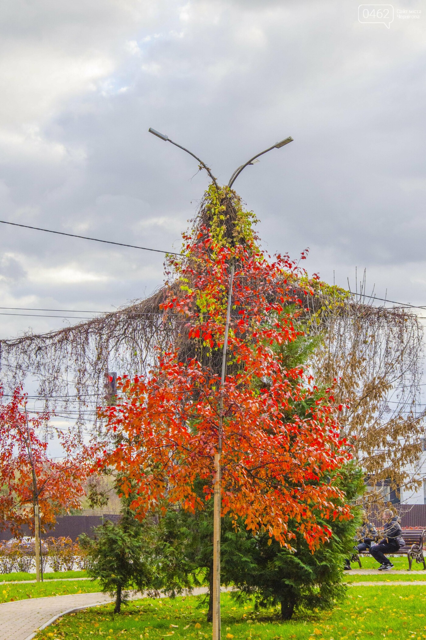 Фото Сергія Тонканова