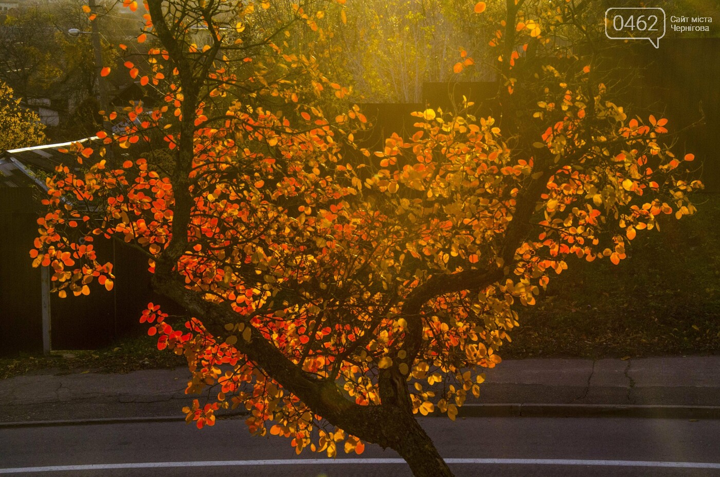Фото Сергія Тонканова