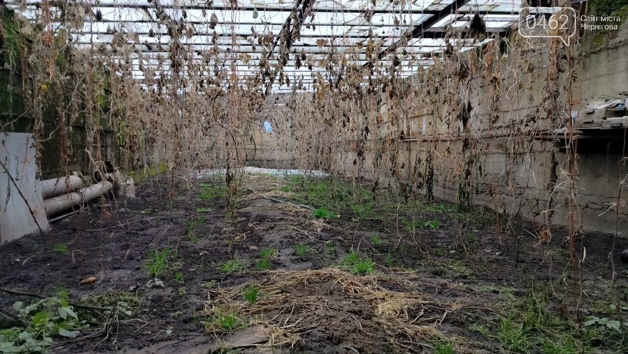 Підземна теплиця