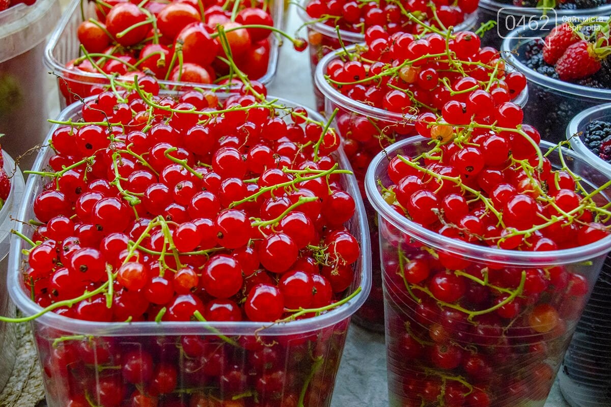 Ягоди пані Тамари