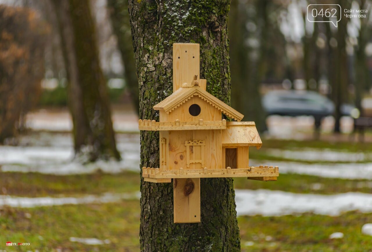 Нові годівнички на Валу у Чернігові