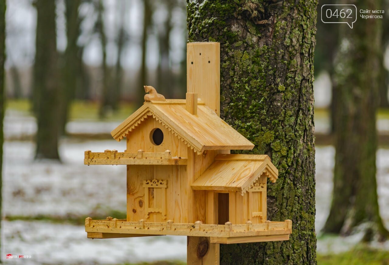 Нові годівнички на Валу у Чернігові