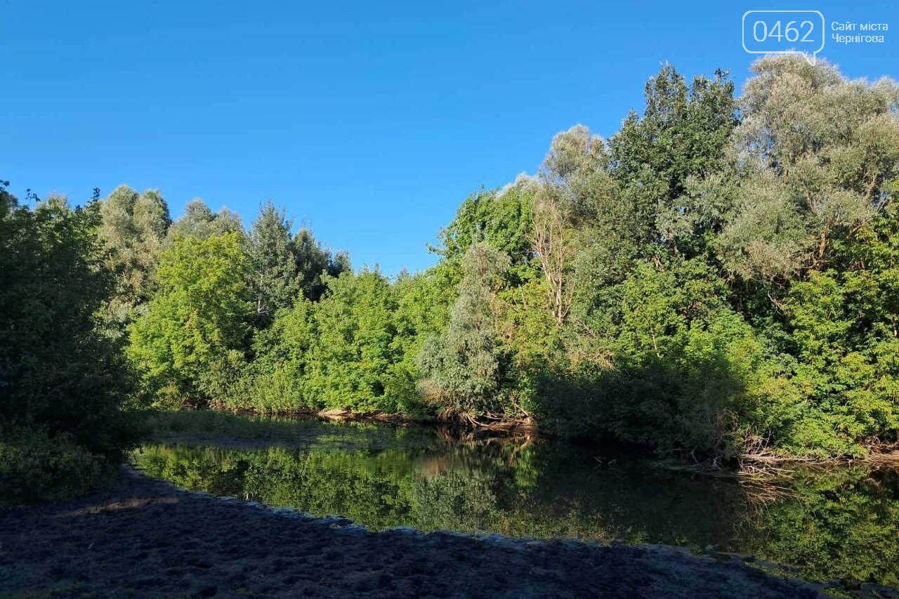 Ландшафти Чернігівщини