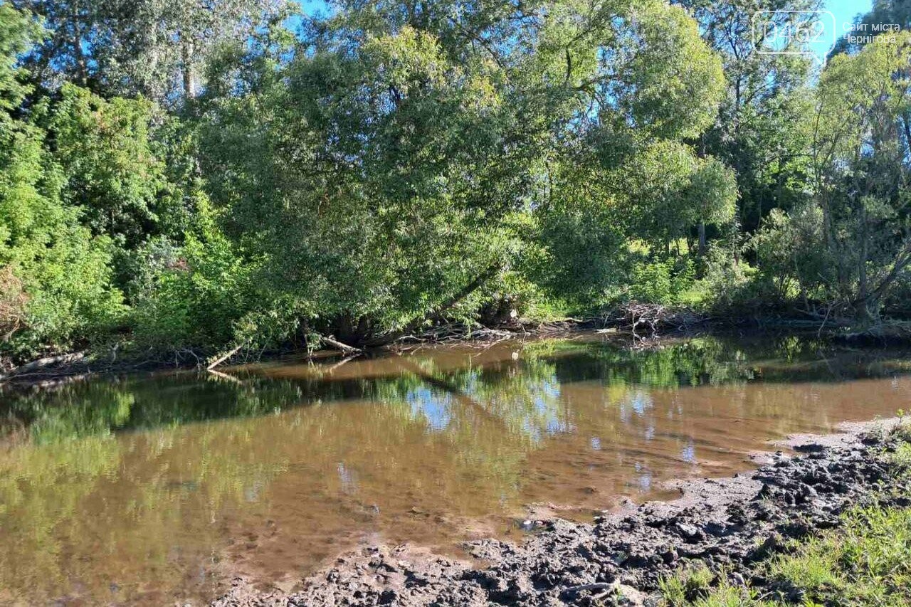 Ландшафти Чернігівщини