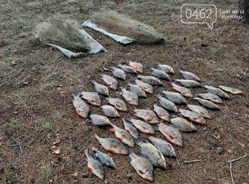 Вилучена риба та знаряддя лову