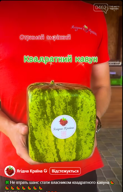 Квадратні кавуни